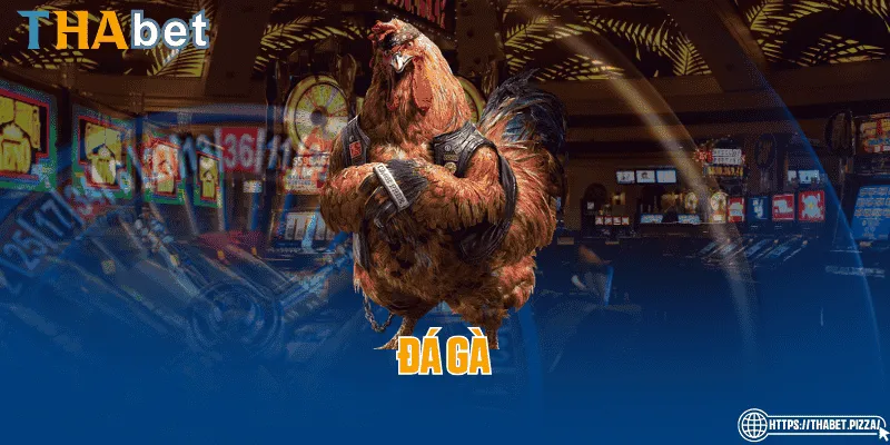 Đá gà